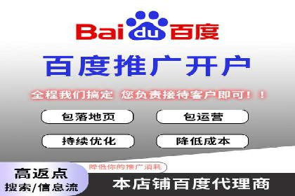 某电商平台的SEM运营实战与效果分析